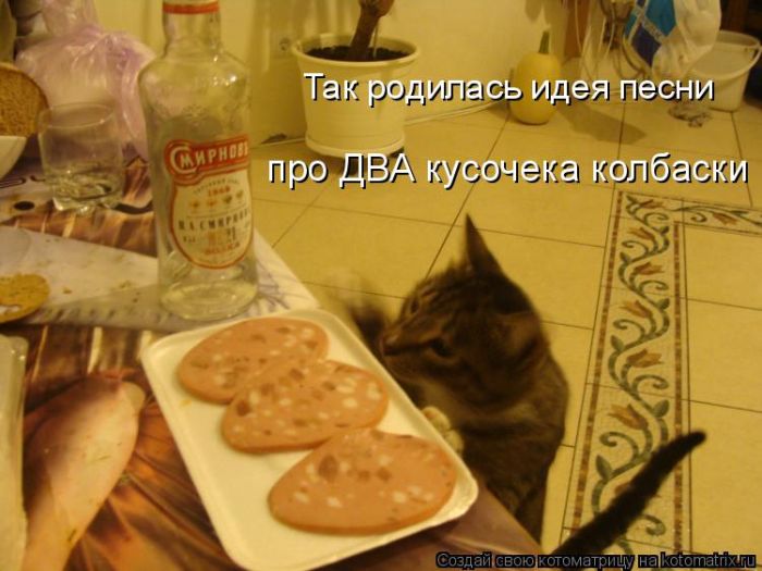 Лучшие котоматрицы недели