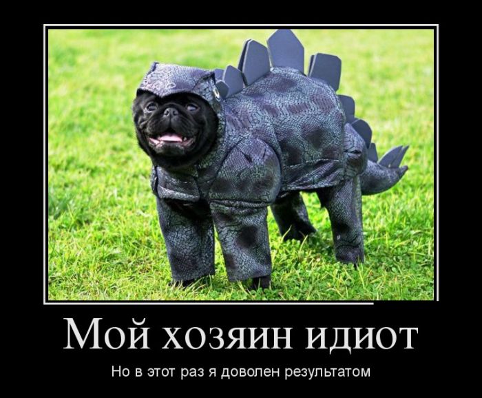 Демотиваторы