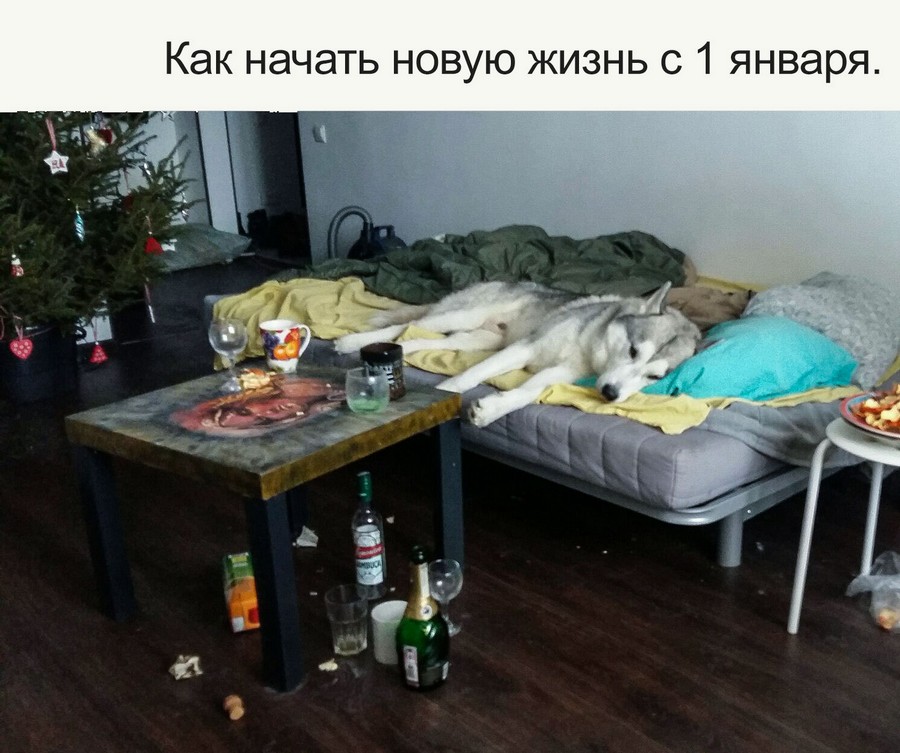 Веселые старушки-хулиганки