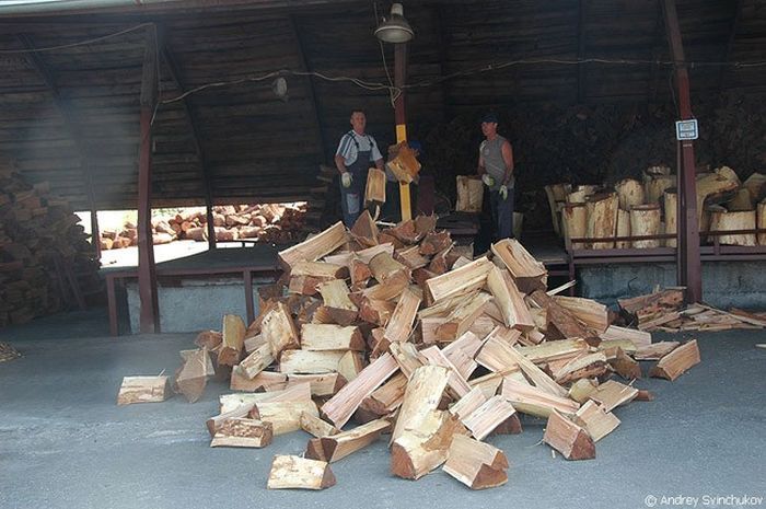 Как изготавливают БАДы в Благовещенске