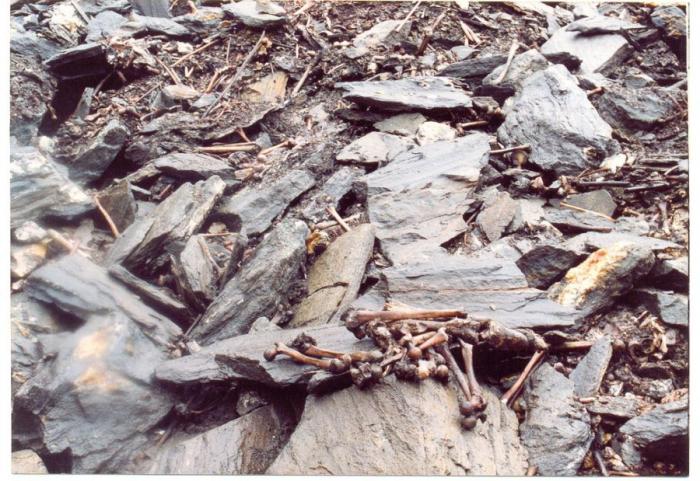 Озеро скелетов Роопкунд в Индии Озеро скелетов Роопкунд в Индии