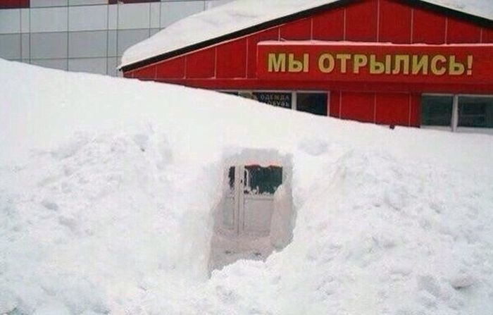 Прикольные картинки (62 фото)