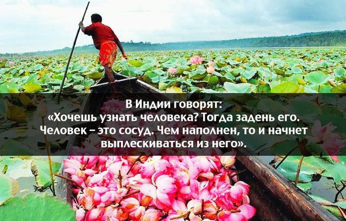 Порция картинок
