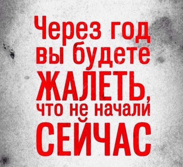 Порция картинок