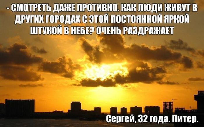 Порция картинок