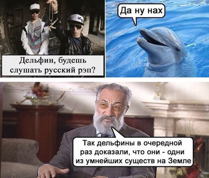 Порция картинок