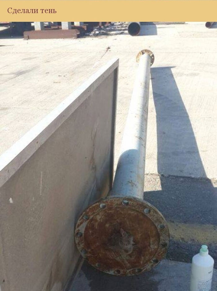 Спасение застрявшей в трубе кошки