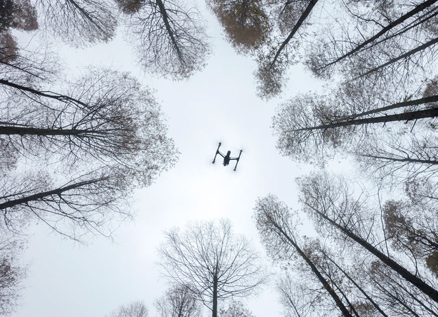 Фотоконкурс SkyPixel 2016: самые красивые фотографии, сделанные при помощи беспилотников