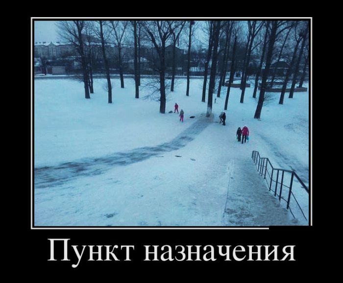 Демотиваторы