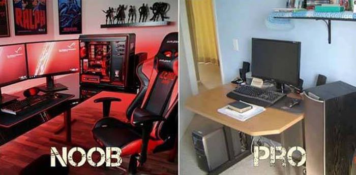 Прикольные картинки