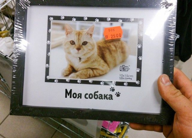 Фото, при виде которых хочется взяться за голову