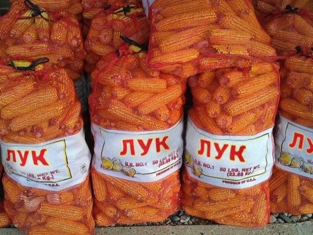Фото, при виде которых хочется взяться за голову