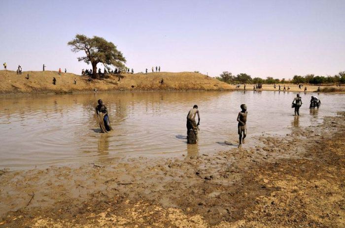 Как выловить всю рыбу в озере за 15 минут