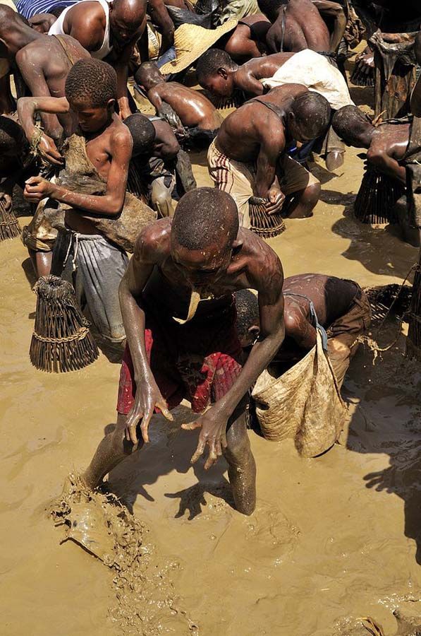 Как выловить всю рыбу в озере за 15 минут