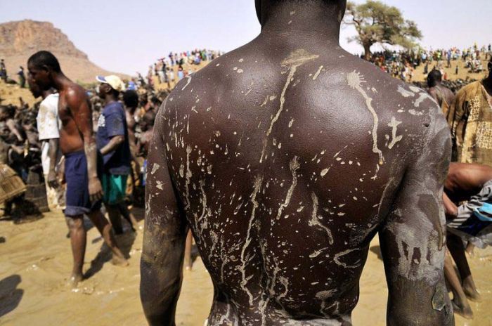 Как выловить всю рыбу в озере за 15 минут