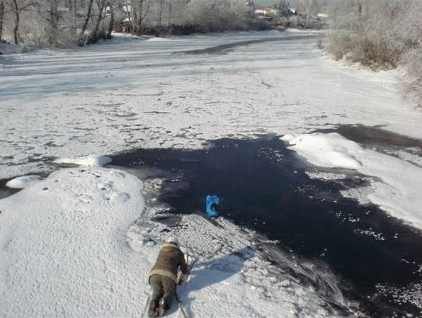 В Екатеринбурге спасли кота (10 фото)