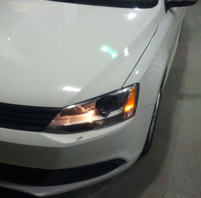 Нежданчик на дороге (6 фото)