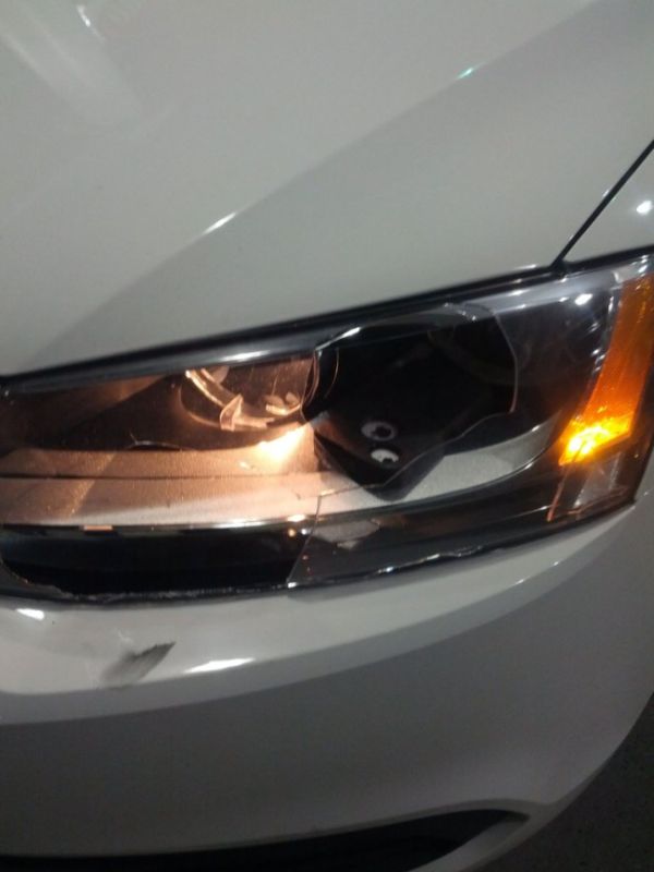 Нежданчик на дороге (6 фото)