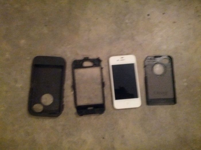 Нежданчик на дороге (6 фото)