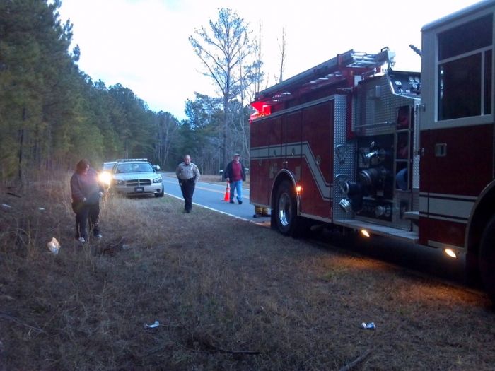 Собачья интуиция (9 фото)