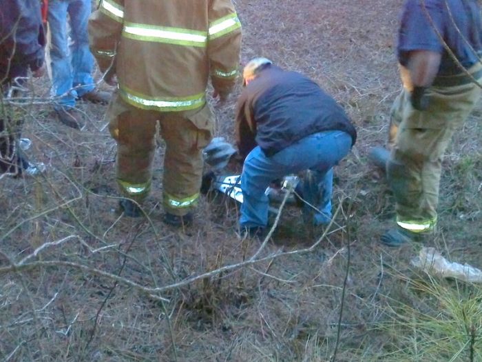 Собачья интуиция (9 фото)