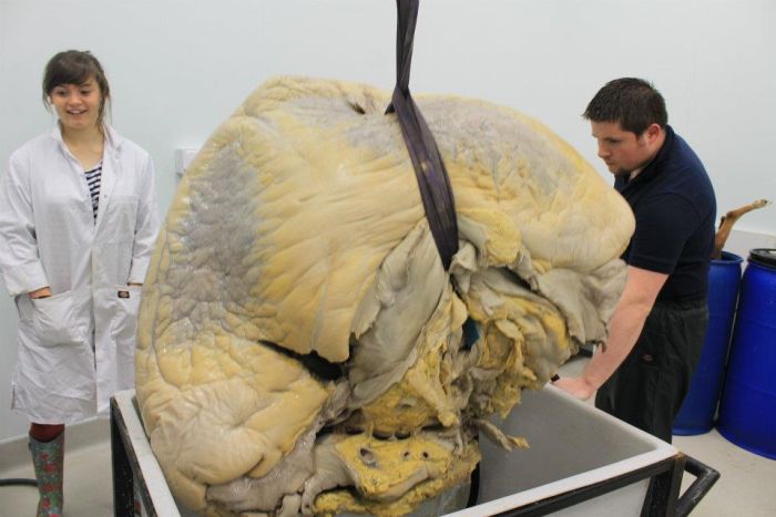 Попробуйте угадать что это (7 фото)