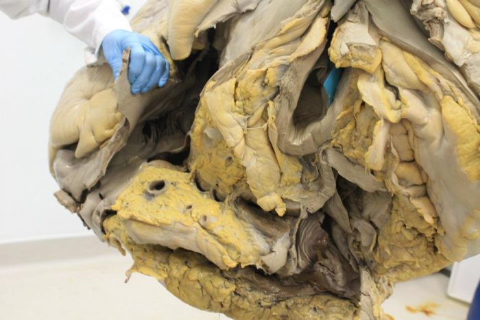 Попробуйте угадать что это (7 фото)