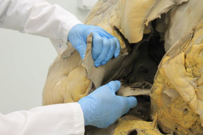 Попробуйте угадать что это (7 фото)