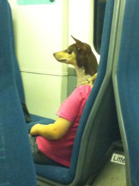 В нужный момент (32 фото)