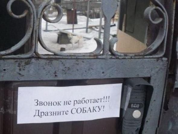 Прикольные картинки (80 фото)