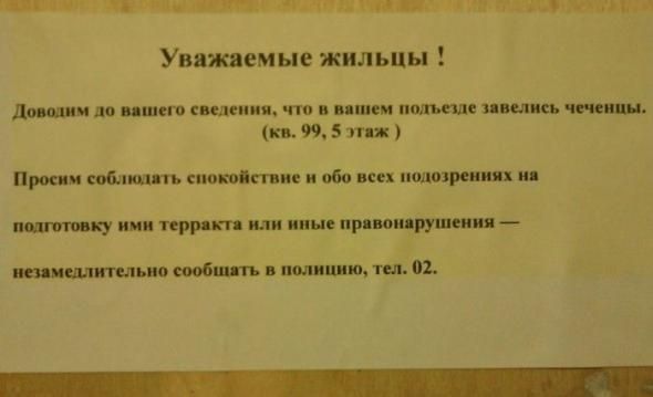 Прикольные картинки (80 фото)