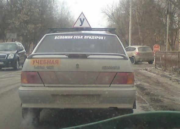 Прикольные картинки (80 фото)