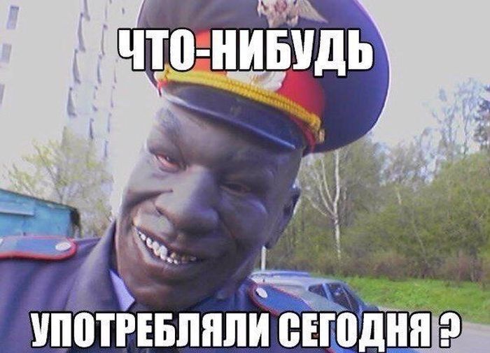 Порция картинок