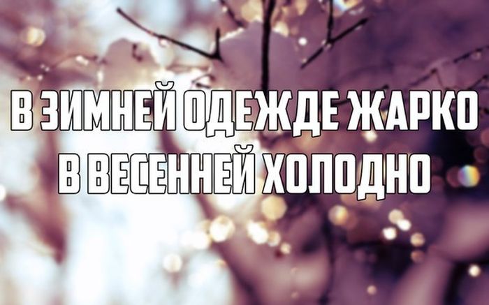 Порция картинок