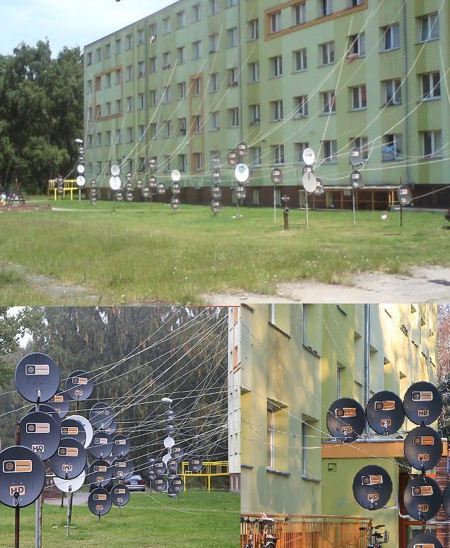 Порция картинок