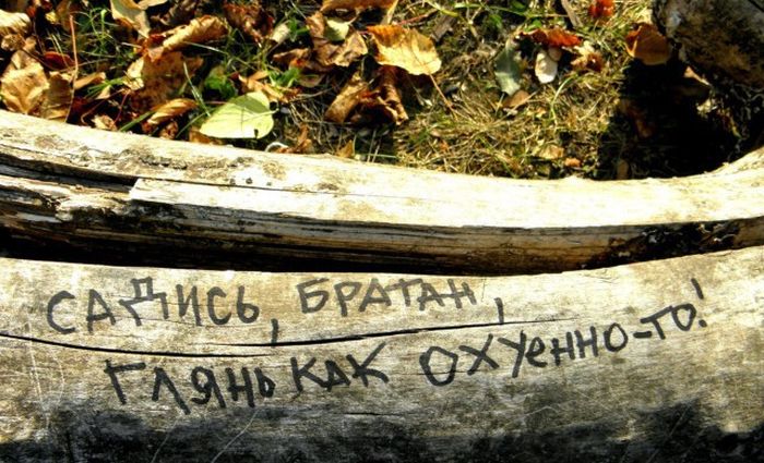 Порция картинок