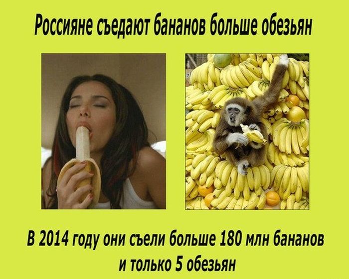 Порция картинок