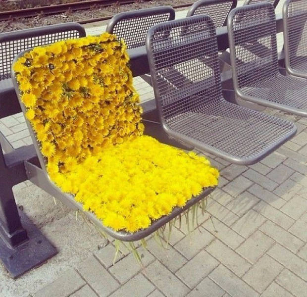 Коллекция эмоциональных снимков