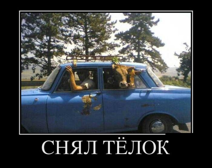 Демотиваторы