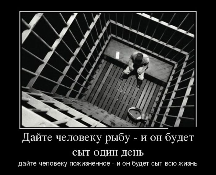 Демотиваторы