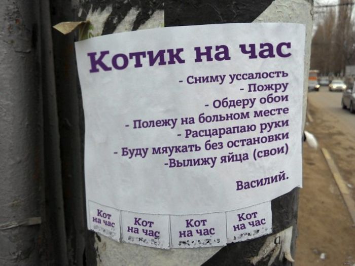 Прикольные картинки
