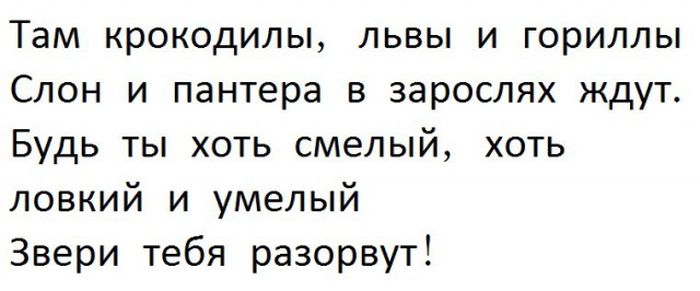 Прикольные картинки