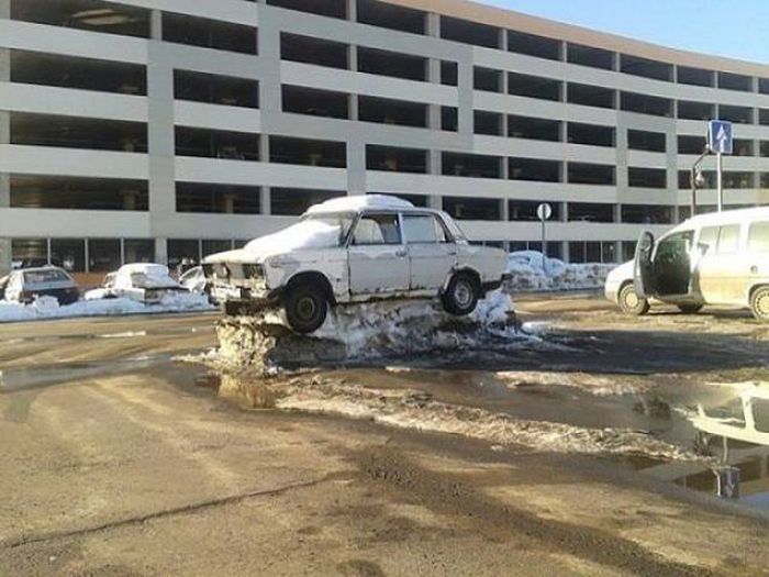 Прикольные картинки