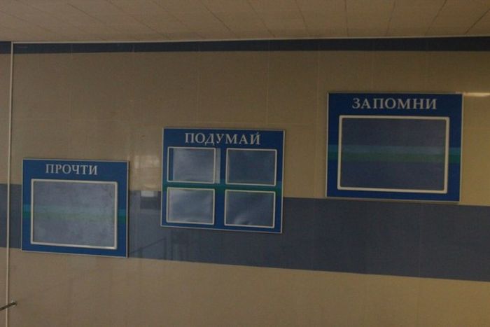 Прикольные картинки