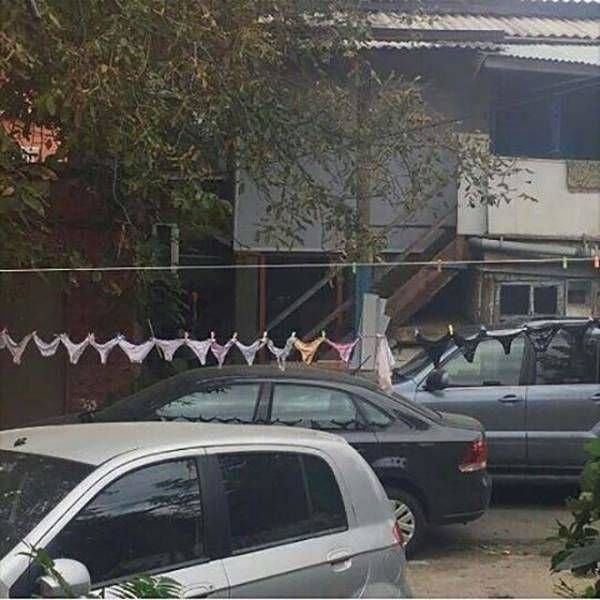 Прикольные картинки
