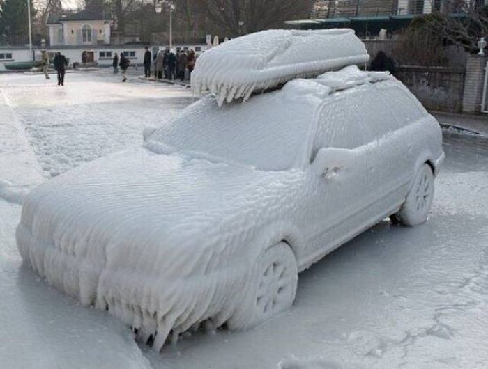 Прикольные картинки