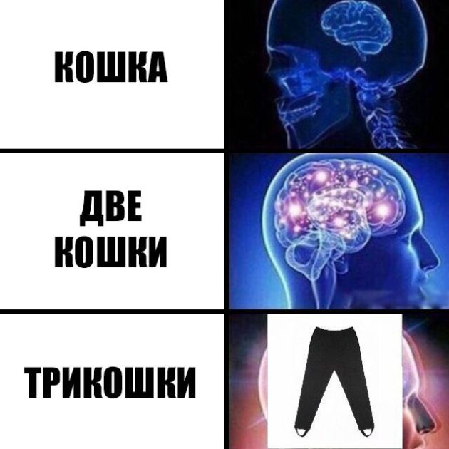 Прикольные картинки