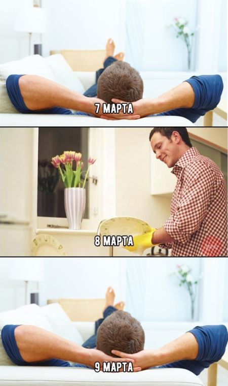Прикольные картинки