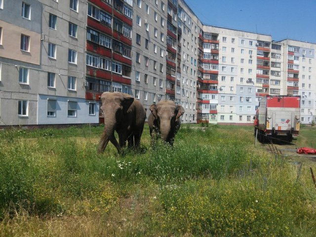С любовью из России