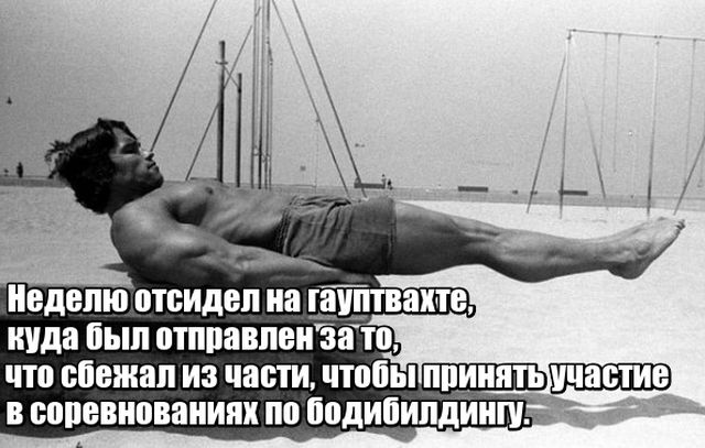 По секрету о Шварценеггере